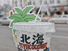 -椰椰大吉(侨港店)