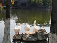 -东莞市可园博物馆