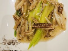 -新光酒家·河豚·海鲜·蟹料理(浦东店)