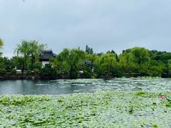 -无锡蠡湖国家湿地公园-蠡园