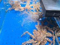 -炊江南·上海菜(国展华漕店)