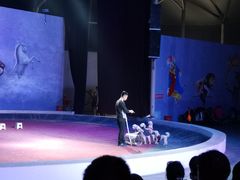 -福州罗源湾海洋世界旅游区