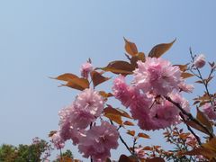 -合肥三国新城遗址公园