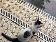 -彳亍咖啡·这里(水湾路店)