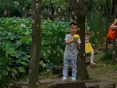 android_upload_pic-清晏园