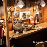 打卡宁静咖啡店