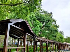 -三林塘老街