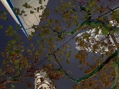 -上海正策律师事务所