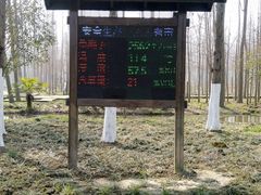 -合肥滨湖国家森林公园