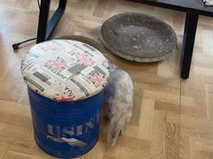 -悠米私人影院(街道口店)