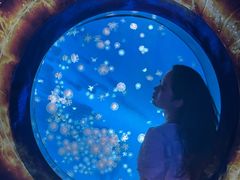 -合肥海洋世界