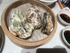-杨氏青龙虾·羊蝎子(托乐嘉店)