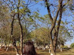 -盘龙城国家考古遗址公园