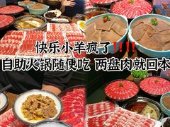 -快乐小羊(富强中路店)