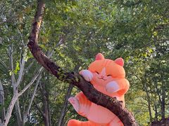 -西安电影制片厂