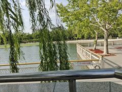-莲花池公园