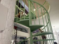 -有猫主题·治愈系猫咖(曾厝垵店)