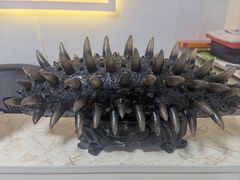 -宫品海参(双井店)