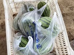 -庞各庄西瓜蔬菜采摘园·锦华瓜园