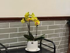 -山水茶艺馆·点心粤菜·30年老字号