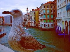 -君悦酒店·La Terrazza意合園·意式风味