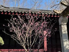 -复旦大学附属华山医院(总院)