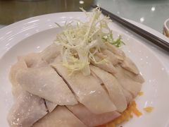 -金河半岛园林酒家(金融城店)
