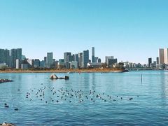 -台场海滨公园船码头