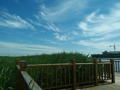 -东方华地城湿地温泉度假区
