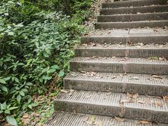 -凤栖山