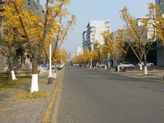 -龙潭水乡