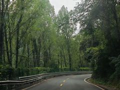 -迎泽公园