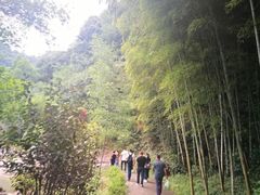 -宁波五龙潭景区