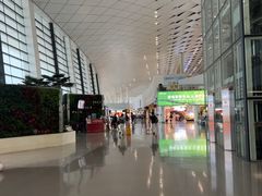 -郑州新郑国际机场-T2航站楼