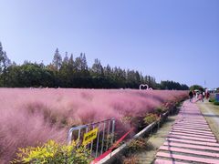 -嘉北郊野公园