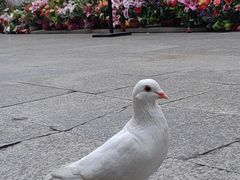 -南华禅寺