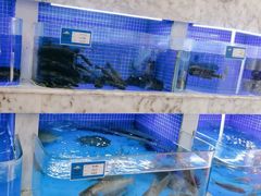 -香山湖渔家大院