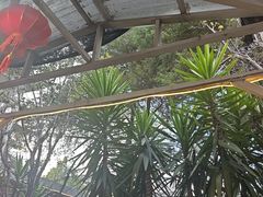 -瑞丰园庭院餐厅·白族传统家常菜