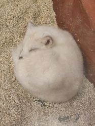 -Zoolung Zoolung动物主题公园(海信广场店)