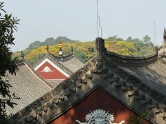 -武汉长春观