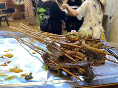 鳝鱼-晓靖轩烧烤(沙河风情店)