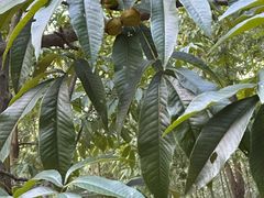 -东天目山风景区