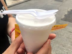 -洪馨椰子