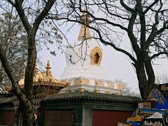 -护国法轮寺