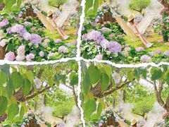 -名花谷生态庄园