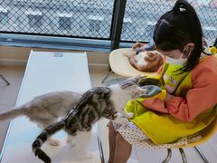 -怪兽屋·羊驼·猫咖·狗咖(俊华广场店)