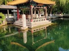 -趵突泉景区
