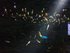 -欢乐海岸海洋奇梦馆