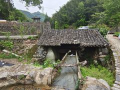 -MOJ coffee(瓯海泽雅水碓坑店)