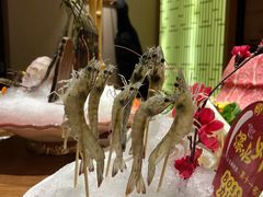 -尚海豆捞(乐虹坊店)